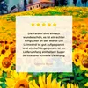 MuchoWow® - Leinwandbilder - Ölfarbe - Gemälde - Blumen - Produktbild-Vorschau 8