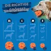 Chuckit! Breathe Right Bal XL Productafbeelding-voorbeeld 5