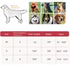 Hundehalsband mit glänzenden Strasssteinen und Diamanten, Produktbild-Vorschau 4
