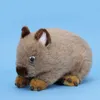 Realistisches Wombat Plüschtier, 26 cm, weiches Produktbild-Vorschau 7