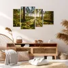 Bild auf Leinwand - Leinwandbild - Wald Baum Natur - Produktbild-Vorschau 7