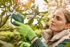 PARKSIDE® 4 V Akku-Gartenschere »PGSA 14 A1«, mit Produktbild-Vorschau 2