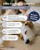 NutriLabs Canicox-HD Gelenktabletten für Hunde 140 Stk. - Produktbild-Vorschau 6