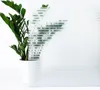 Selbsthaftend Fensterfolie 67x150 cm - Kristallstreifen - Produktbild-Vorschau 8