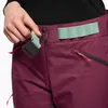 Jack Wolfskin Alpspitze W Wild Berry 40 Ski Hose Produktbild-Vorschau 10