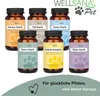 WELLSANA DARM-KOMPLEX – Probiotika für Hunde Produktbild-Vorschau 6