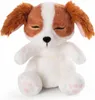 NICI Sleeping Pets šteniatko kokeršpaniela, plyšová hračka, Náhľad obrázku produktu 4