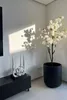 Vaso da fiori CHICO in fibra di vetro, antracite, 50x60 cm Anteprima dell’immagine prodotto 7