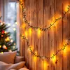 Guirlande lumineuse rechargeable par USB jusqu'à 10 jours Voir les images du produit 5