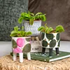 Bloomique - Lot de 3 - Dionaea Muscipula - Plante Carnivore Voir les images du produit 1