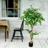 Decovego Künstlicher Ficus Benjamin, Kunstpflanze, 120 cm Produktbild-Vorschau 5