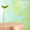 Holzschutzmittel zur Holzwurmbekämpfung, 10 Liter farblos I Produktbild-Vorschau 4