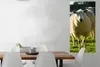 MuchoWow® Poster Schafe - Tiere - Wolle 60x120 cm - Produktbild-Vorschau 2