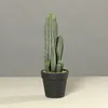 DPI Kakteengruppe im Kunststofftopf 40 cm - Kunstblumen Produktbild-Vorschau 3