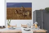 MuchoWow® Poster Mutter und Babyzebra 180x120 cm - Produktbild-Vorschau 4