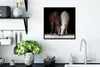 MuchoWow® MuchoWow® Gerahmtes Poster Pferde - Tiere - Apfel Produktbild-Vorschau 3