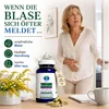 Złotoklono (Solidago) – 180 kapsułek – dla wsparcia Podgląd zdjęcia produktu 2