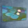 Coloray - Bild aus Glas - 120x60 cm - gehärtetes Glas Produktbild-Vorschau 2