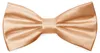 Ladeheid Elegante Herren Fliege -Hochwertig Glänzend Produktbild-Vorschau 1