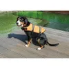 Merco Dog Swimmer plovací vesta pro psa oranžová Barva: Náhled obrázku produktu 4