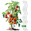 Tomatenspiralen aus Stahl Ø 5,6 mm Tomatenspiralstäbe Ranke Produktbild-Vorschau 2