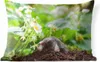 MuchoWow® Outdoor Kissen - Tier - Garten - Maulwurf - 50x30 Produktbild-Vorschau 1