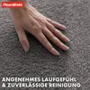 Paillasson Domenico Tapis de propreté élégant et pratique Voir les images du produit 4