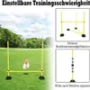NAIZY multifunkční překážková sada skákací tyč agility Náhled obrázku produktu 3