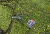 Gardena 3720-20, hliník, hliník, nastavitelný, odnímatelný, Náhled obrázku produktu 25