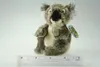 A plush koala toy sits on a ruler against a white background. Voir les images du produit