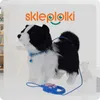A plush dog toy with a leash and remote control, set against a blurred background with shelves and a teddy bear. Anteprima dell’immagine prodotto