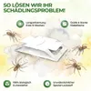 Spinnen Klebefalle mit Spezial-Lockstoff – 3x Fallen – Produktbild-Vorschau 6