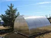 Gewächshaus Tunnel PROFI ZEUS 4x6 m | Treibhaus mit 6 mm Produktbild-Vorschau 1