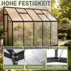 ROSEJANE, szklarnia aluminiowa, odporna na warunki zimowe, Podgląd zdjęcia produktu 7