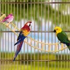 Vogelleiter-Brückenspielzeug, hölzernes Produktbild-Vorschau 2