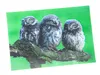 3 D Ansichtskarte Steinkäuze, Postkarte Wackelkarte Produktbild-Vorschau 2