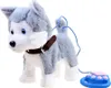 A plush toy husky dog on a leash with a remote control. Produktbild-Vorschau