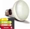 Ampoule terrarium Tache basante Komodo 50W Voir les images du produit 4