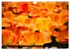 Tulpen (Wandkalender 2027 DIN A4 quer), CALVENDO Produktbild-Vorschau 7