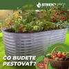 A raised garden bed filled with various vegetables and plants, with a basket of fresh produce and cartoon vegetables in the foreground. Anteprima dell’immagine prodotto
