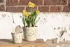 Clayre & Eef Blumentopf Ø 12x10 cm Grün Weiß Keramik Produktbild-Vorschau 3