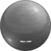 A gray exercise ball with horizontal lines and the brand logo at the bottom. Náhľad obrázku produktu
