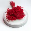Glixia Getrocknete - (Glixia Marcela) - Rot Produktbild-Vorschau 6