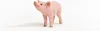 Schleich WIP 13934 in Multicolored color size Talla unica Anteprima dell’immagine prodotto 4