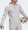 adidas SQ21 SW HOOD TMLGGR TMLGGR XXL Produktbild-Vorschau 15