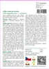 SAFLAX - Luffa houbová okurka - Luffa aegyptica syn. L. Náhled obrázku produktu 3