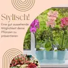 2er Set Orchideentopf Transparent Orchideen Übertopf Produktbild-Vorschau 3