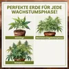 Green Home Grow Erde All Mix 72 L – Erde für Wachstum, Produktbild-Vorschau 4