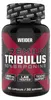 Weider Premium Tribulus 90 capsule / Tribulus Terrestris / Anteprima dell’immagine prodotto 1