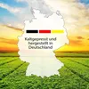 3 x Lausitzer Leinöl (kaltgepresstes Leinöl), 3x 500ml Produktbild-Vorschau 6
